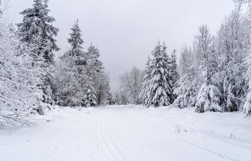Przebudzenie zimy: Pierwsze śniegi i urokliwe krajobrazy w Głogowie