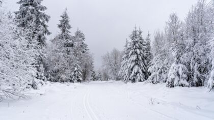 Przebudzenie zimy: Pierwsze śniegi i urokliwe krajobrazy w Głogowie