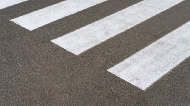 Policja odnajduje 80-letniego grzybiarza w lesie po zgłoszeniu zaginięcia